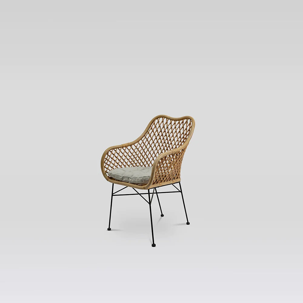 Frontier — Accent Chair Rattan Iron Secondary image