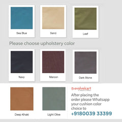 Swing upholstery color