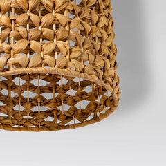 Dhee —  Lamp Water Hyacinth