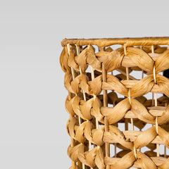 Dhee —  Lamp Water Hyacinth