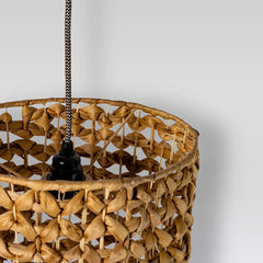 Dhee —  Lamp Water Hyacinth