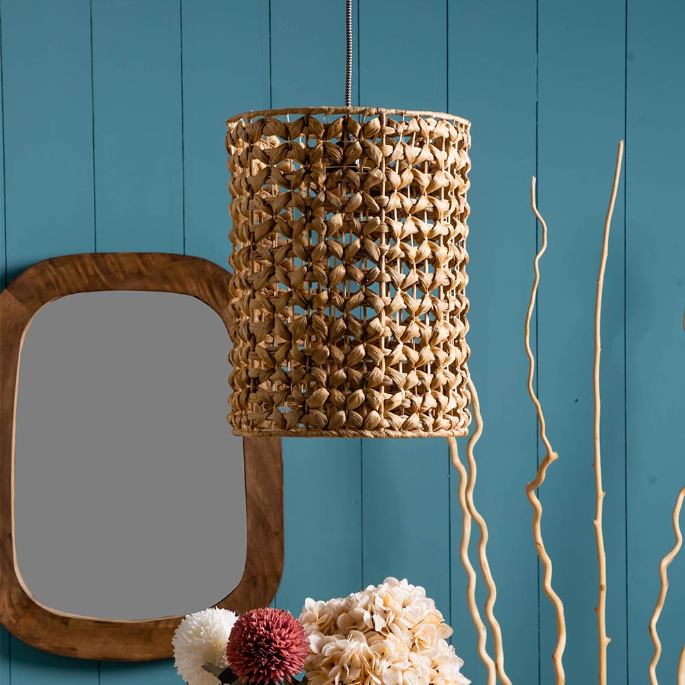 Dhee —  Lamp Water Hyacinth