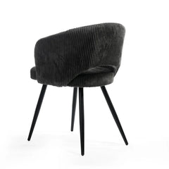 Coast — Dining Chair