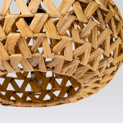 Lamp Glow —  Water Hyacinth