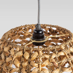 Lamp Manifest — water hyacinth