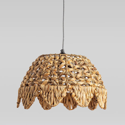 Lamp Manifest — water hyacinth