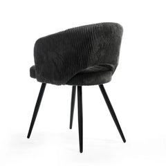 Coast — Dining Chair