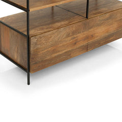 TV Unit Wooden -MODULAR (Big)